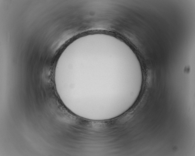X0000112211258200909041332