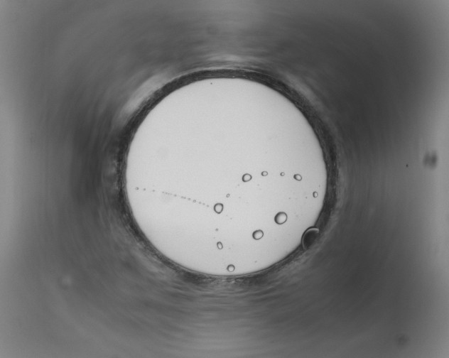 X0000112211259200909041332