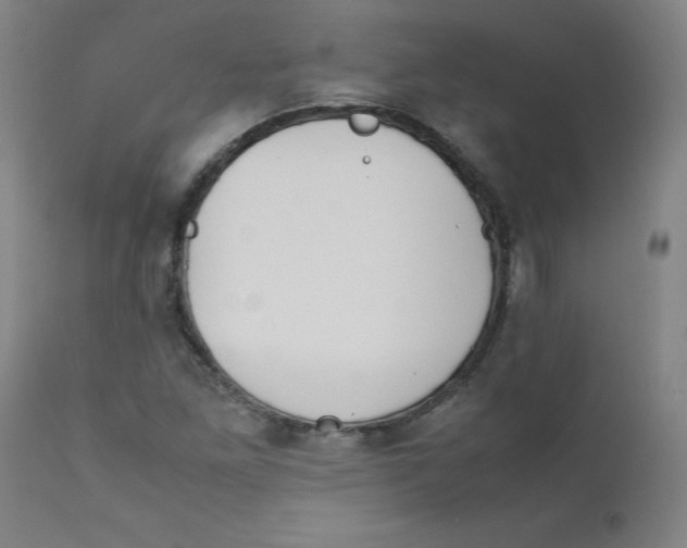 X0000112211261200909041332