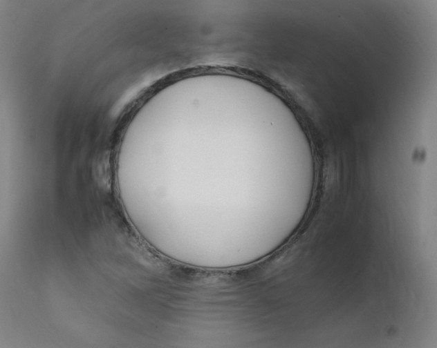 X0000112211262200909041332