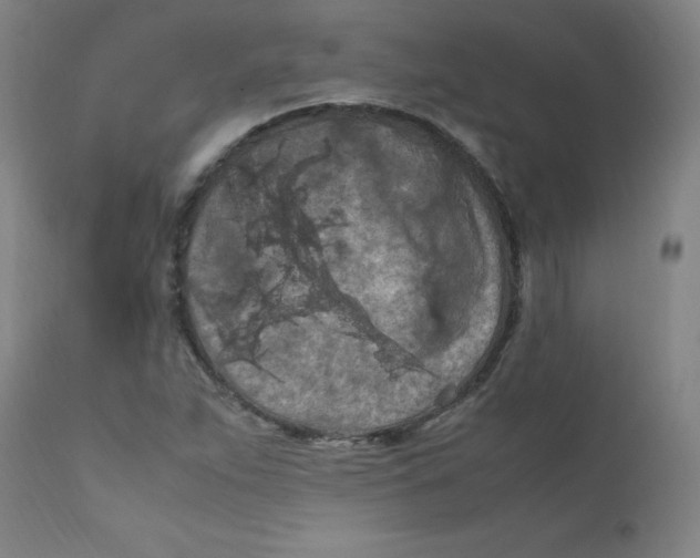 X0000112211263200909041332