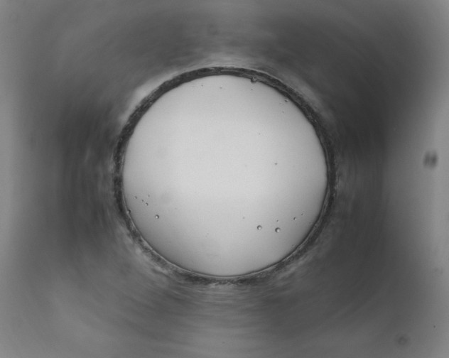 X0000112211264200909041332