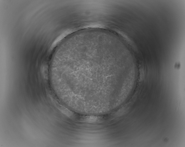 X0000112211266200909041332