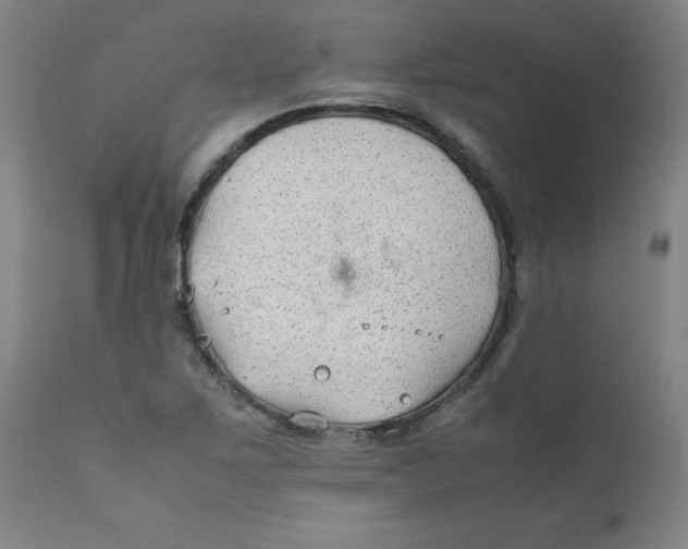 X0000112211267200909041332