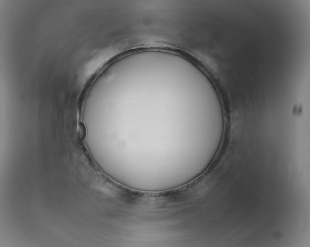 X0000112211269200909041332