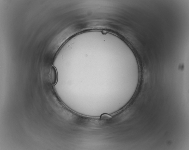 X0000112211273200909041332