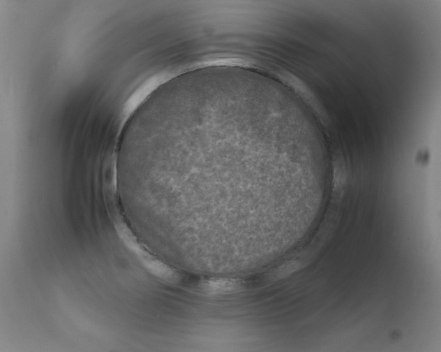 X0000112211274200909041332