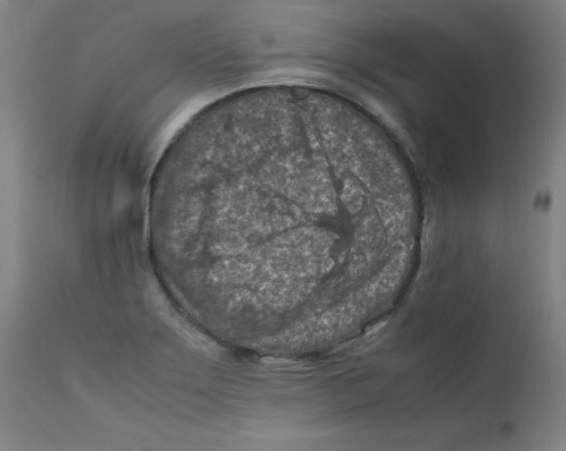 X0000112211275200909041332