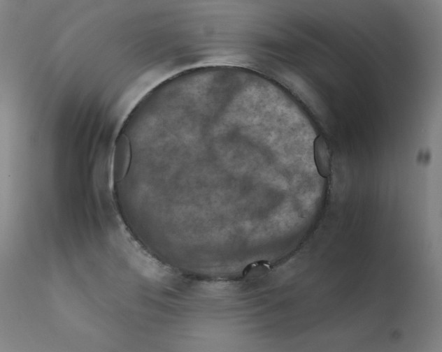 X0000112211276200909041332