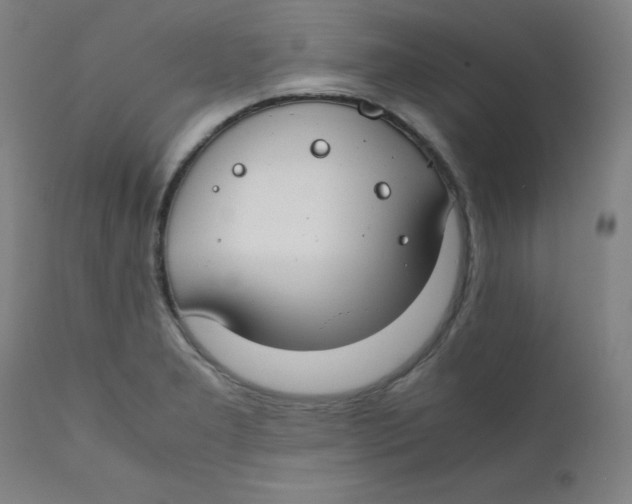 X0000112211277200909041332