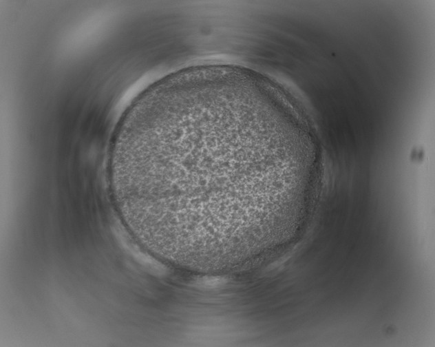 X0000112211278200909041332