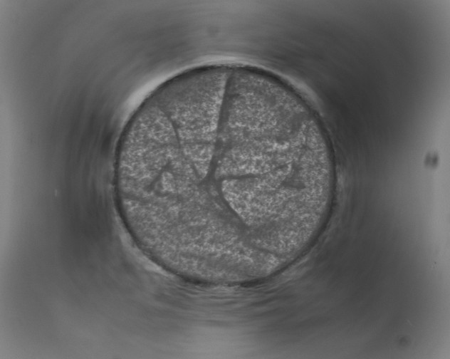 X0000112211279200909041332