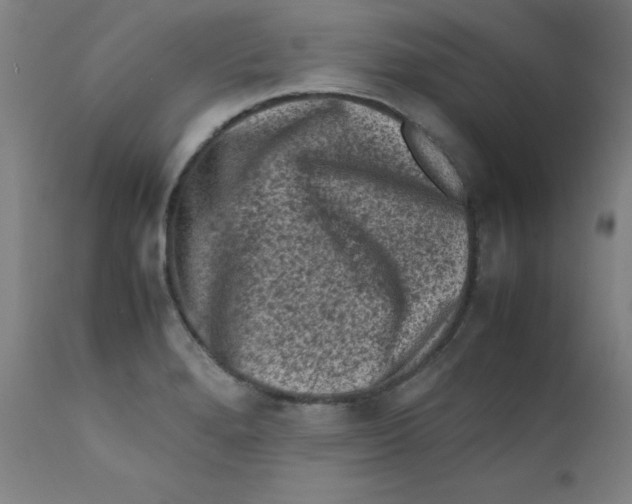 X0000112211280200909041332