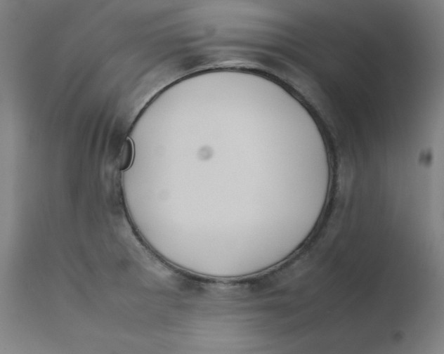 X0000112211281200909041332