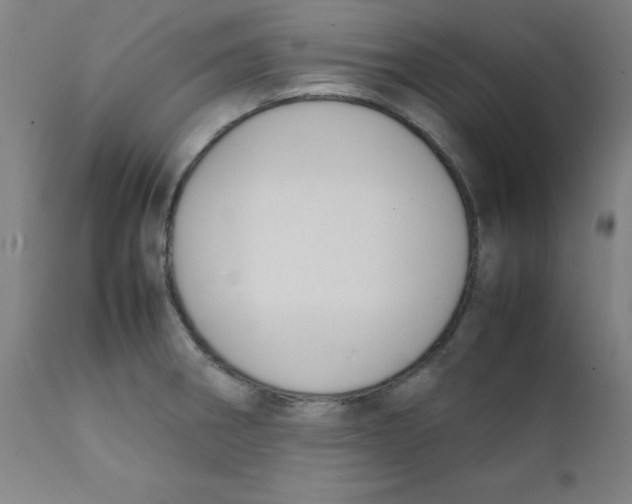 X0000112211282200909041332