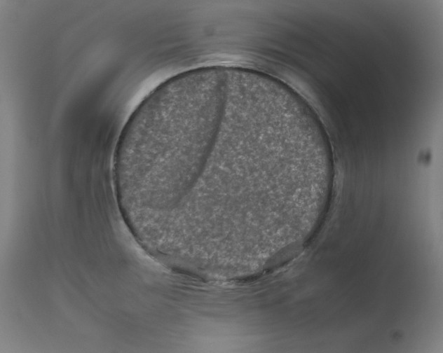 X0000112211283200909041332