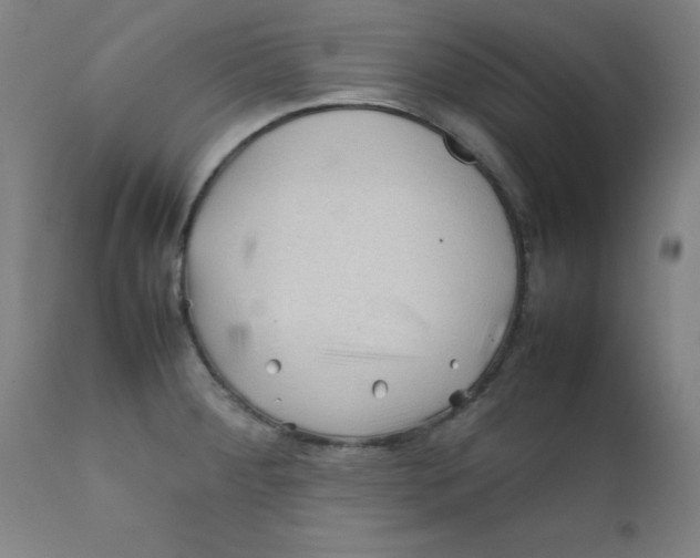 X0000112211284200909041332