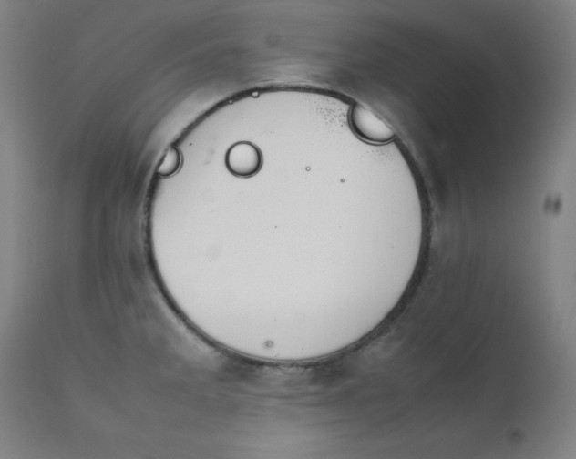 X0000112211285200909041332