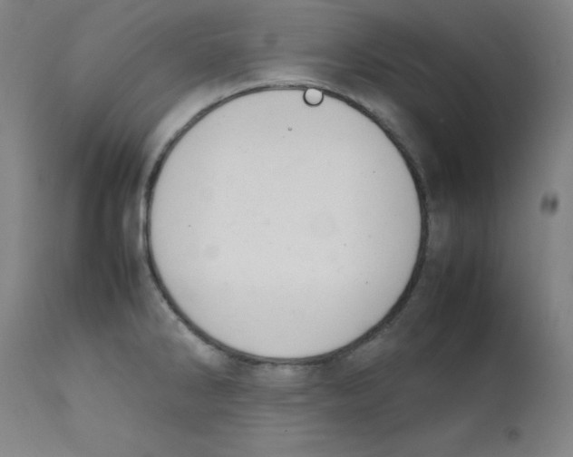 X0000112211286200909041332