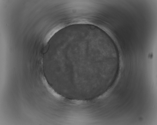 X0000112211289200909041332
