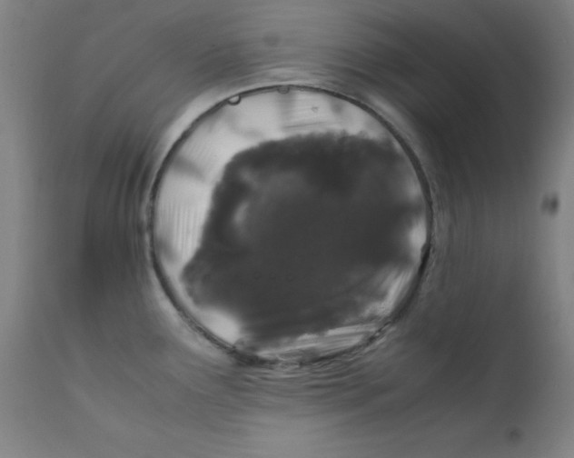 X0000112211291200909041332