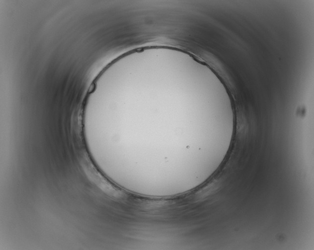 X0000112211292200909041331