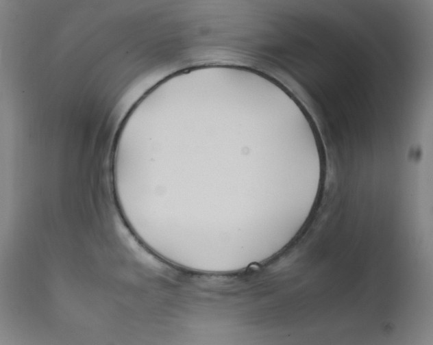 X0000112211293200909041331