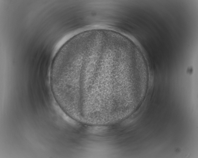 X0000112211294200909041331