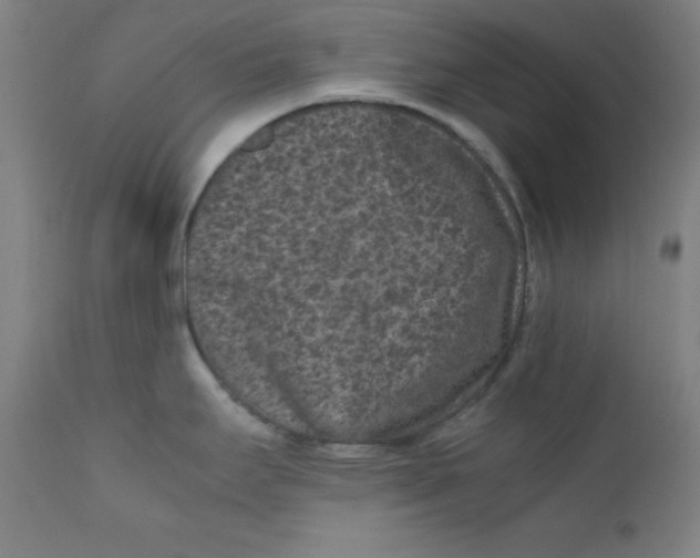 X0000112211295200909041331