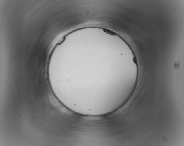 X0000112211296200909041331