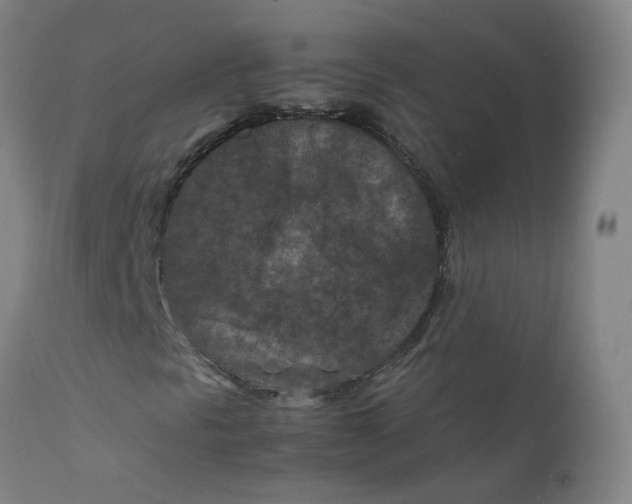 X0000112211297200909041331