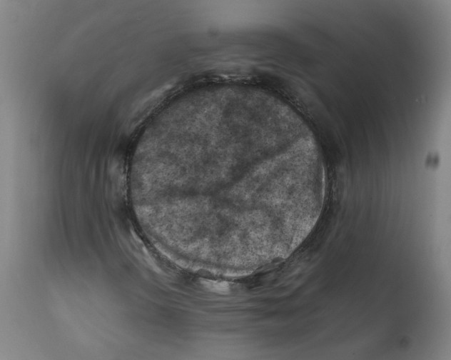 X0000112211298200909041331