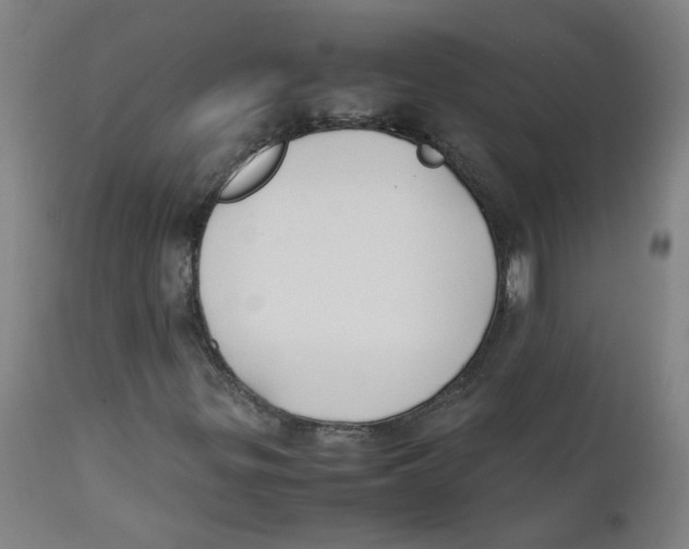 X0000112211299200909041331