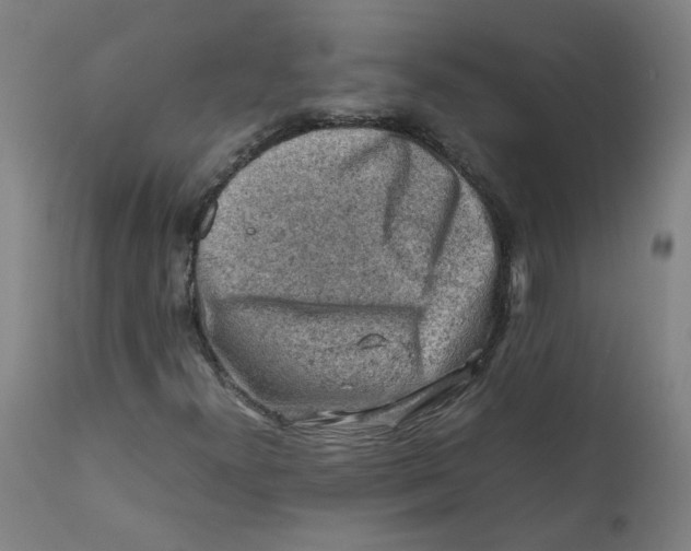 X0000112211300200909041331