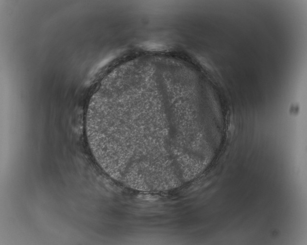 X0000112211301200909041331