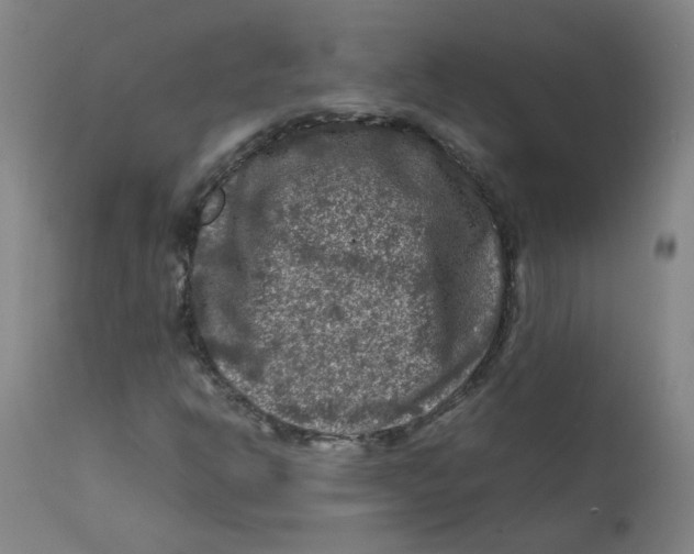 X0000112211302200909041331