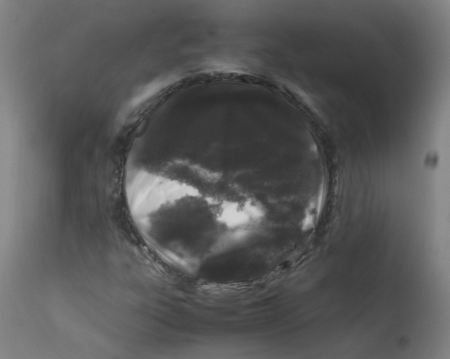 X0000112211303200909041331