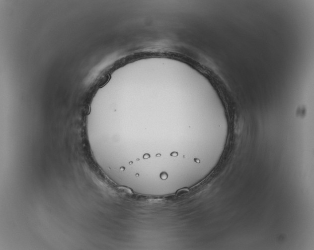 X0000112211304200909041331