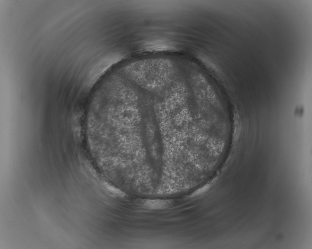X0000112211305200909041331