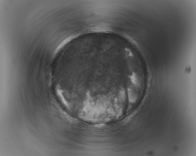 X0000112211306200909041331