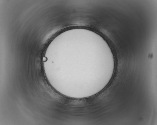 X0000112211307200909041331