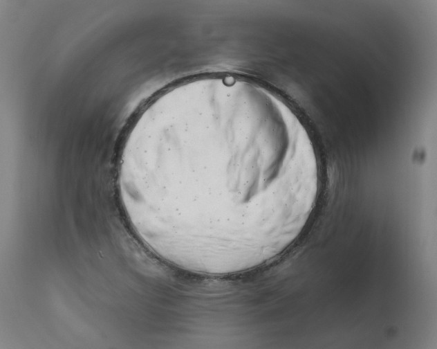 X0000112211308200909041331