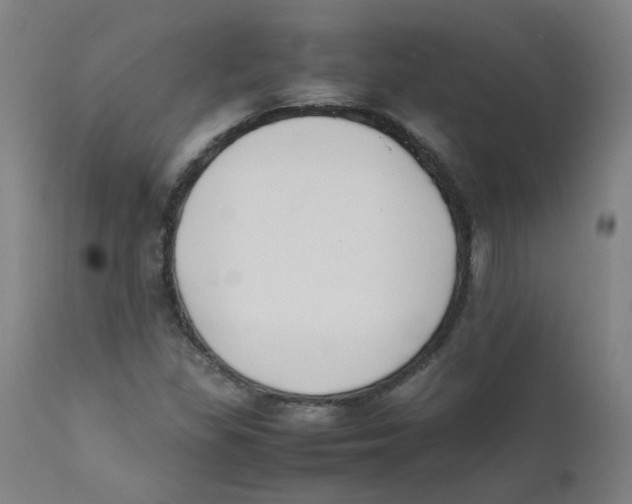 X0000112211309200909041331