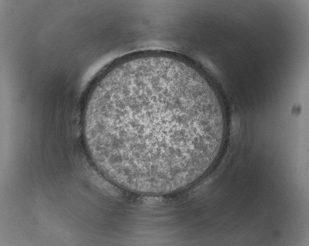 X0000112211310200909041331