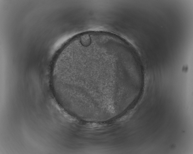 X0000112211311200909041331