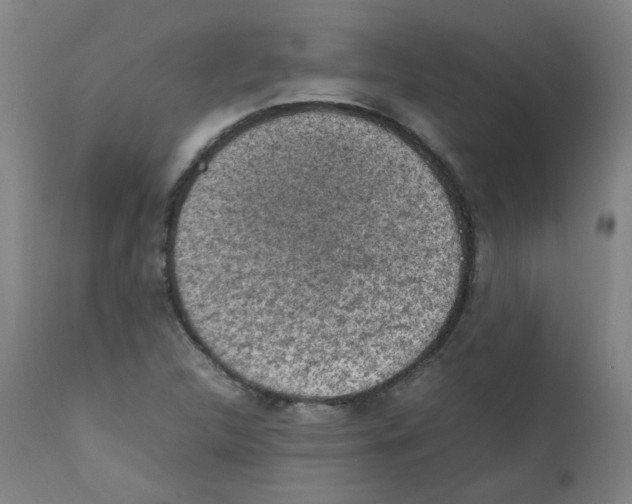 X0000112211312200909041331