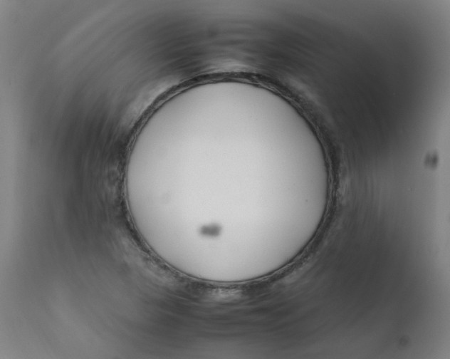 X0000112211313200909041331