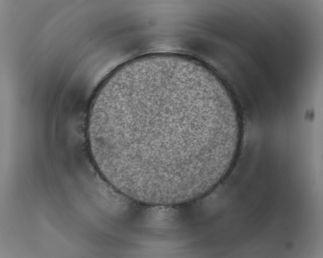 X0000112211314200909041331