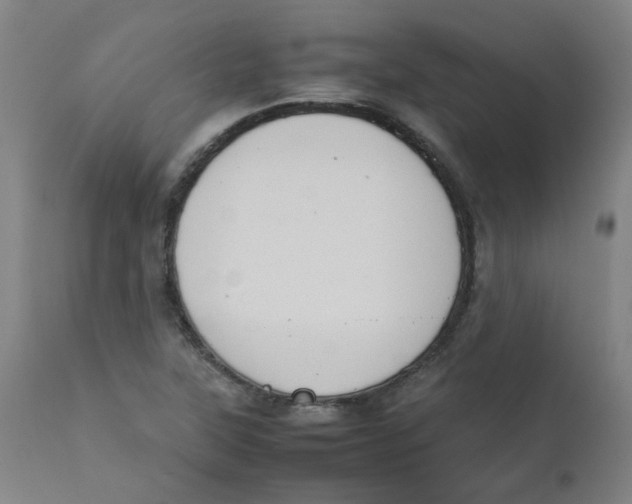 X0000112211315200909041331