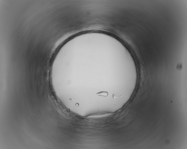 X0000112211316200909041331
